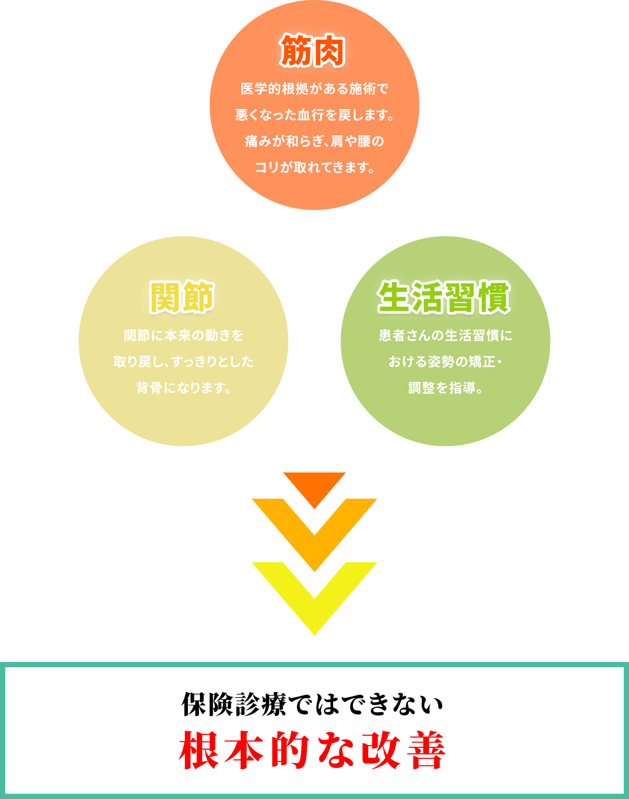 筋肉　医学的根拠がある施術で悪くなった血行を戻します。 痛みが和らぎ、肩や腰のコリが取れてきます。関節　関節に本来の動きを取り戻し、すっきりとした背骨になります。生活習慣　患者さんの生活習慣における姿勢の矯正・ 調整を指導。保険診療ではできない根本的な改善